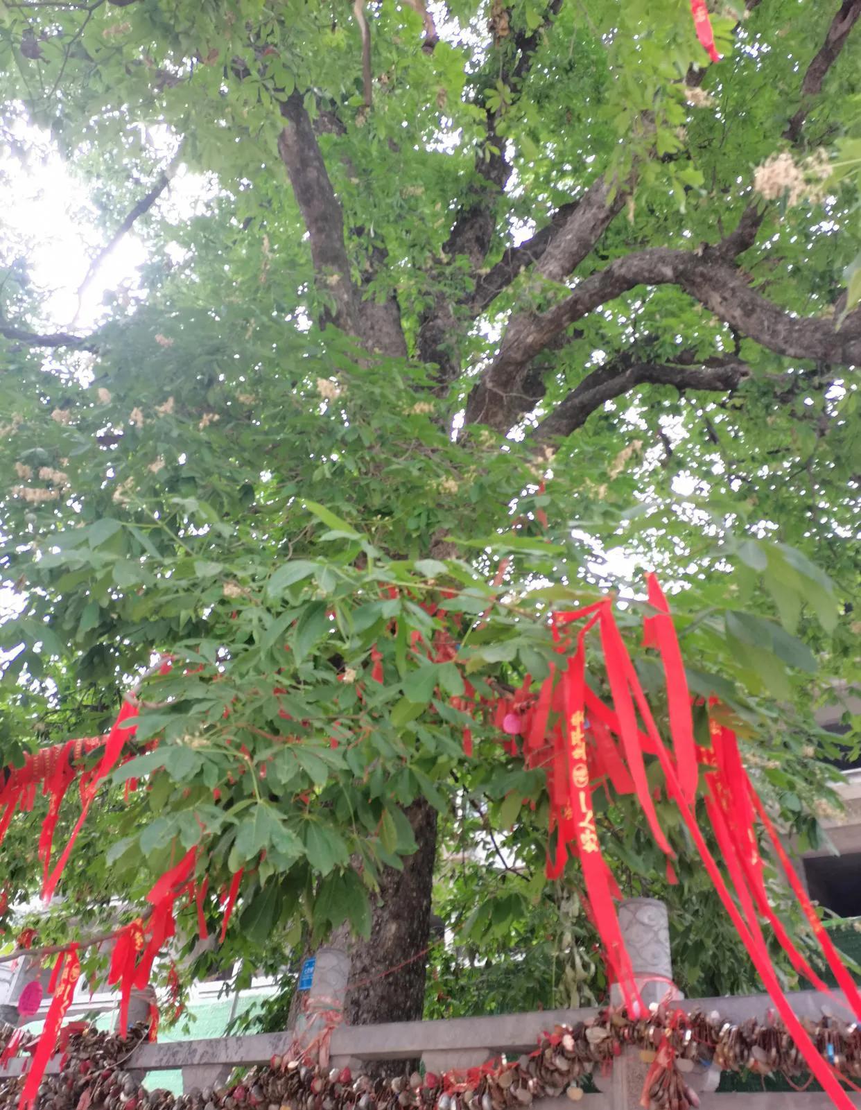 重渡沟风景区门票价格,重渡沟风景区