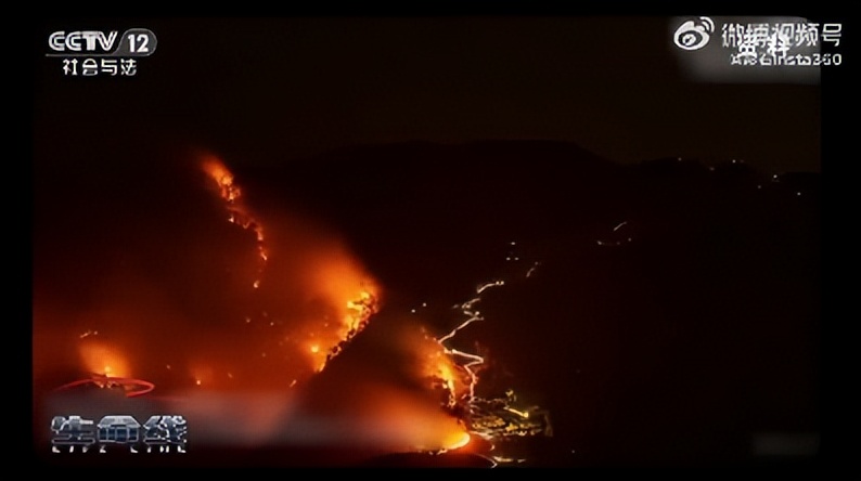 【案例挖掘机】瑞幸咖啡联名线条小狗，vivo讲述黑猫爱情