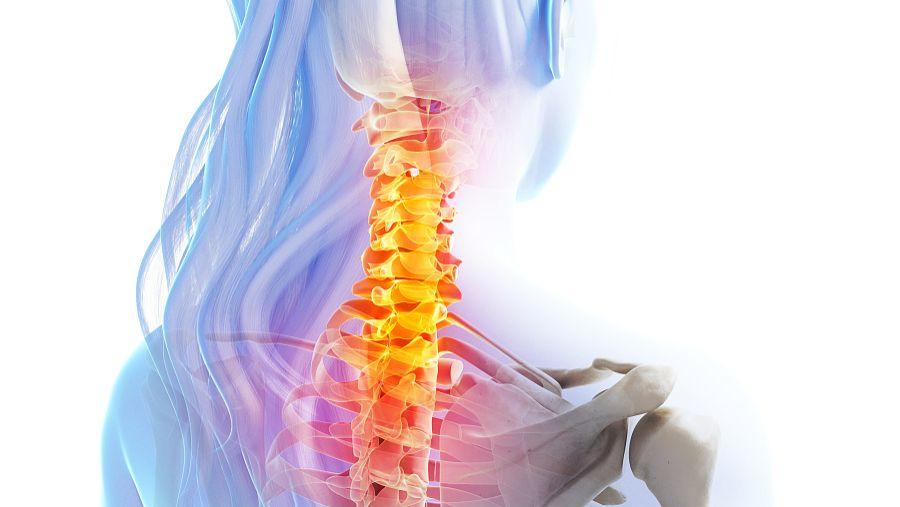 交通事故致头部外伤,现场急救用什么代替颈托