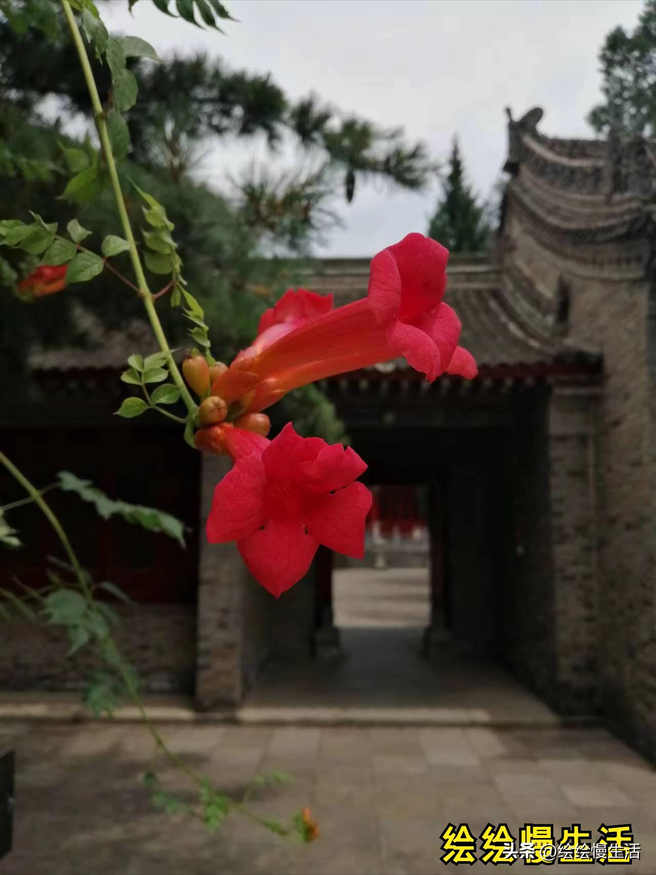 游杜甫草堂有感,西安草堂寺附近好玩的