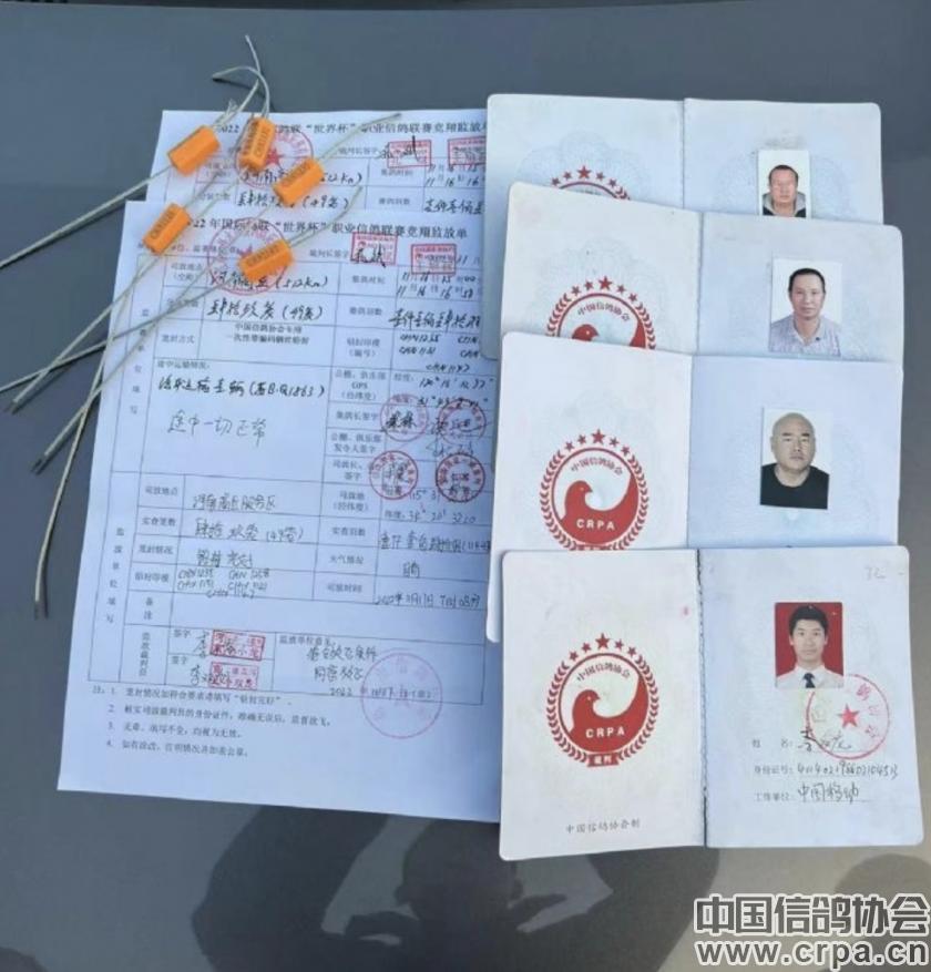 世界杯总决赛7-1,世界杯总决赛后半场回放