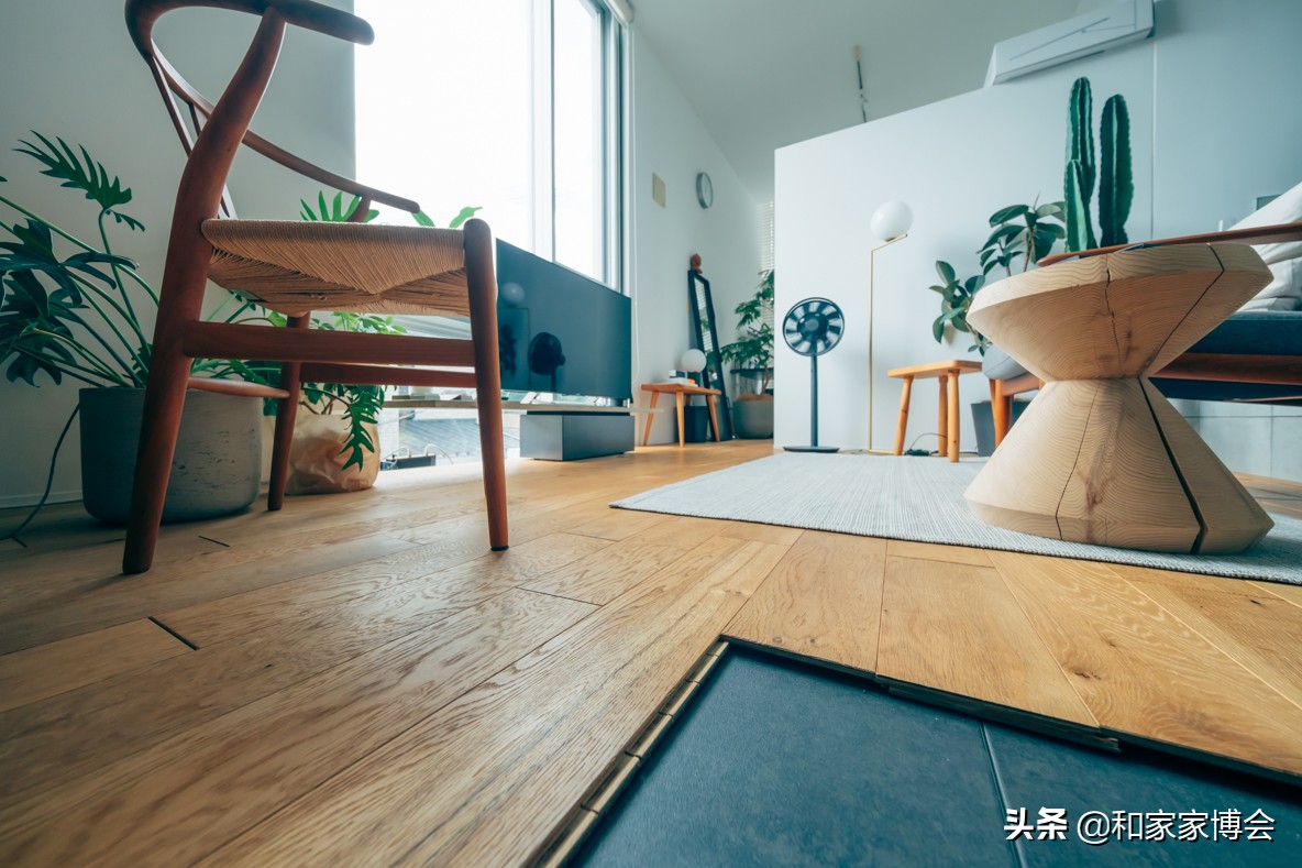 日本小姐姐租东京铁塔的房子 (日本小姐姐晒租房日常)