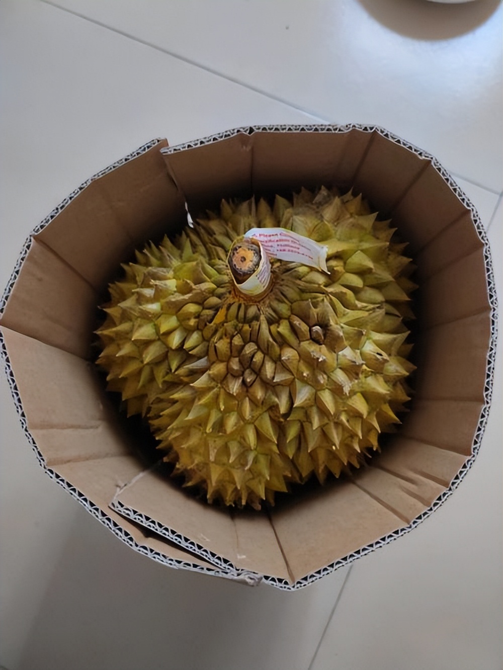 水果价格断崖式下跌,水果榴莲最低价