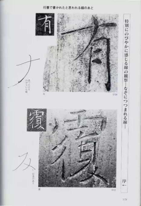 宸ョ瑪鐢绘潹鏅箟鐢诲唽,鏉滈箖鏉ㄦ櫘涔夊畬鏁寸増