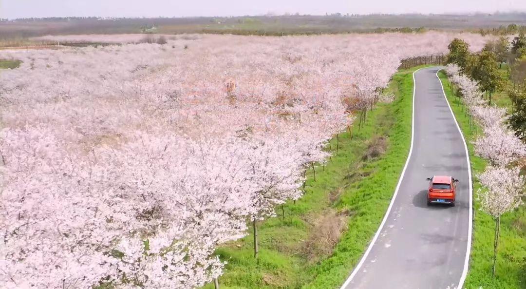 合肥旅行推荐平价旅游线路,合肥旅游线路