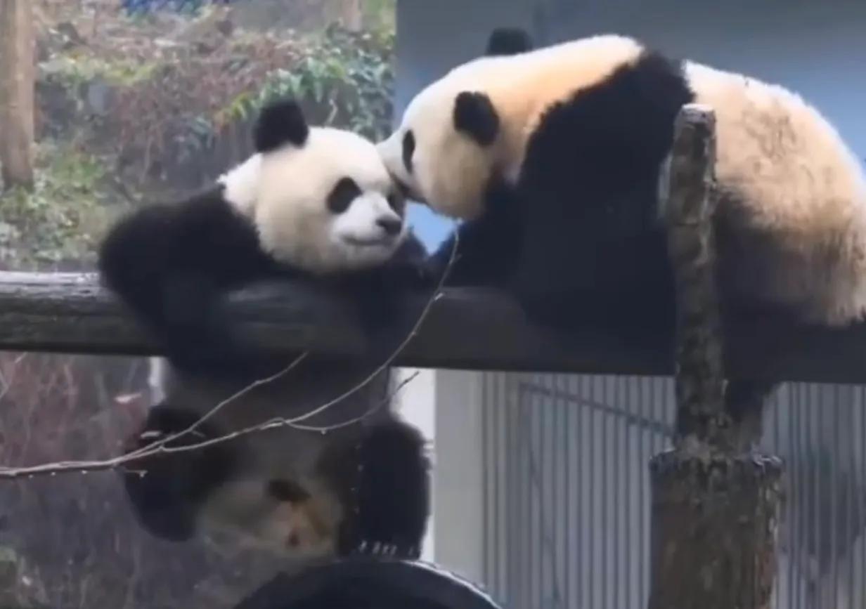 考古爱宝,考古爱宝的童年经历