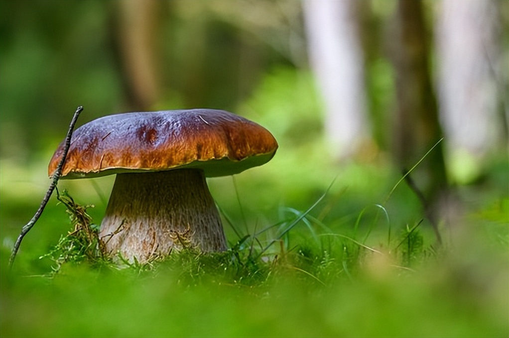 不要让4种人来你家串门,三种人不能随便去别人家串门