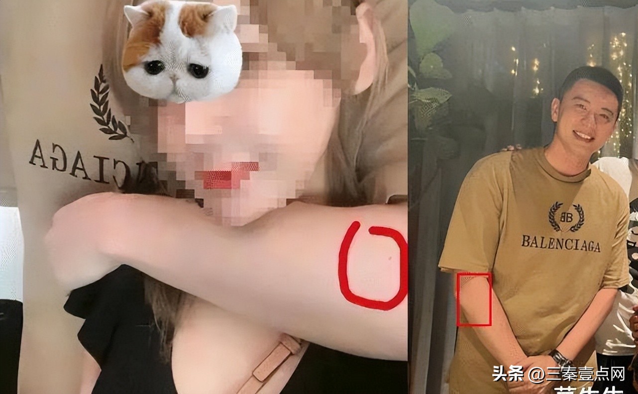 杨鸣沈阳形象大使,杨鸣形象大使