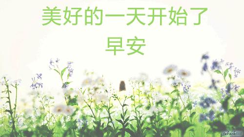 微信最美早晨问候祝福图片带字,早上好最漂亮微信表情祝福图片