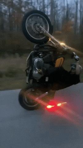 79个难得一见照片，飞机释放烟雾弹，逃票的女乘客，飞翔的蝙蝠