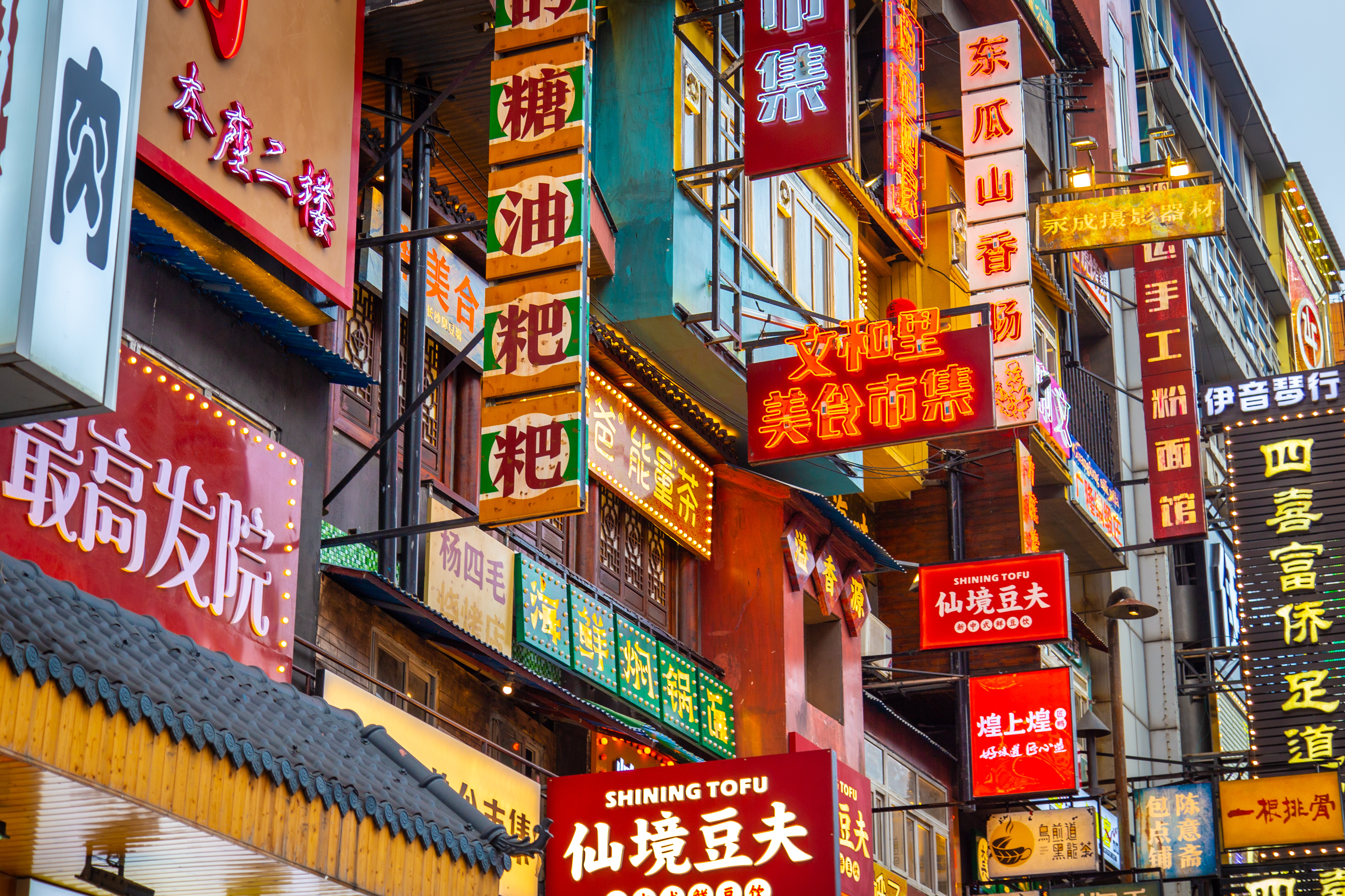 人生日报金句摘抄大全,愿生如夏花之绚烂死如秋叶之静美