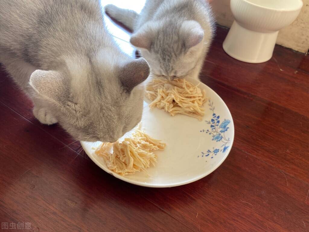 猫瘟好了还拉稀怎么回事,猫咪拉稀酸臭味就是猫瘟