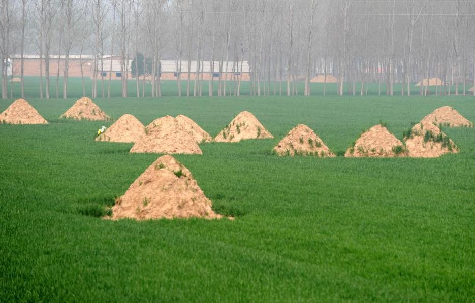 农村拆坟最新政策,火葬迁坟有什么讲究和忌讳