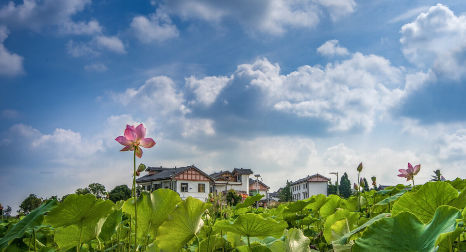 母亲再三叮嘱我回村不能开车，参加邻家婚宴后，终于明白其中奥秘