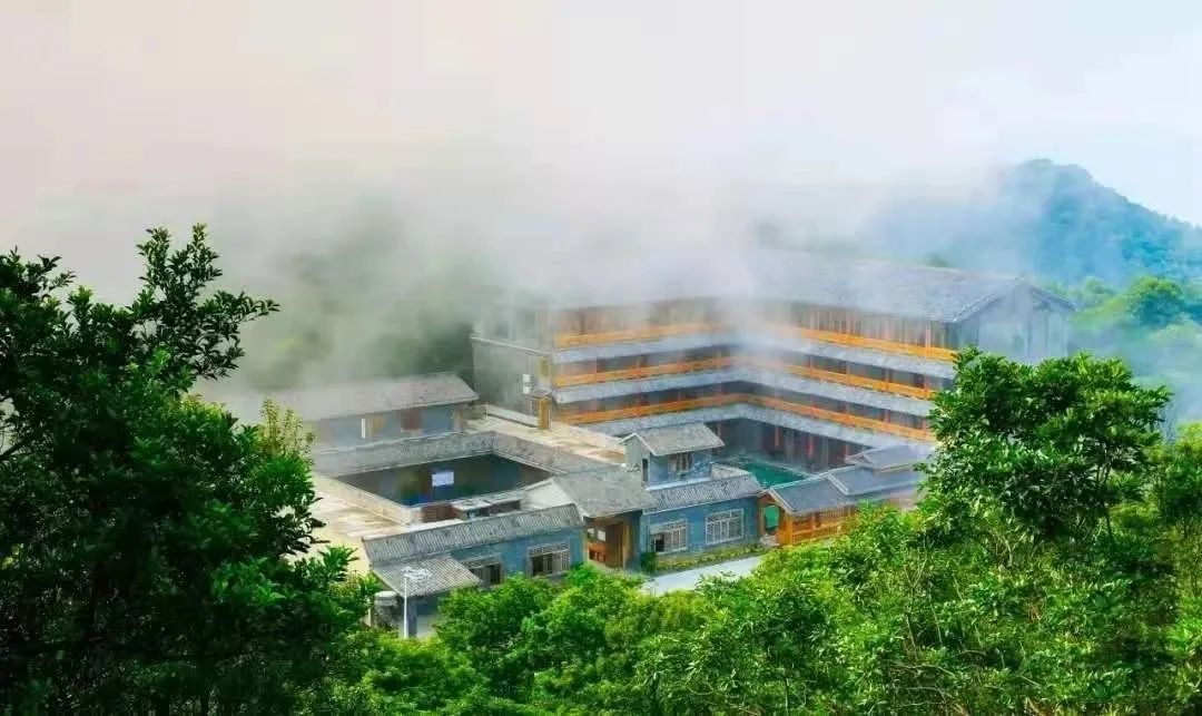 2020年灵山荔枝采摘地点,广西灵山荔枝现摘现吃