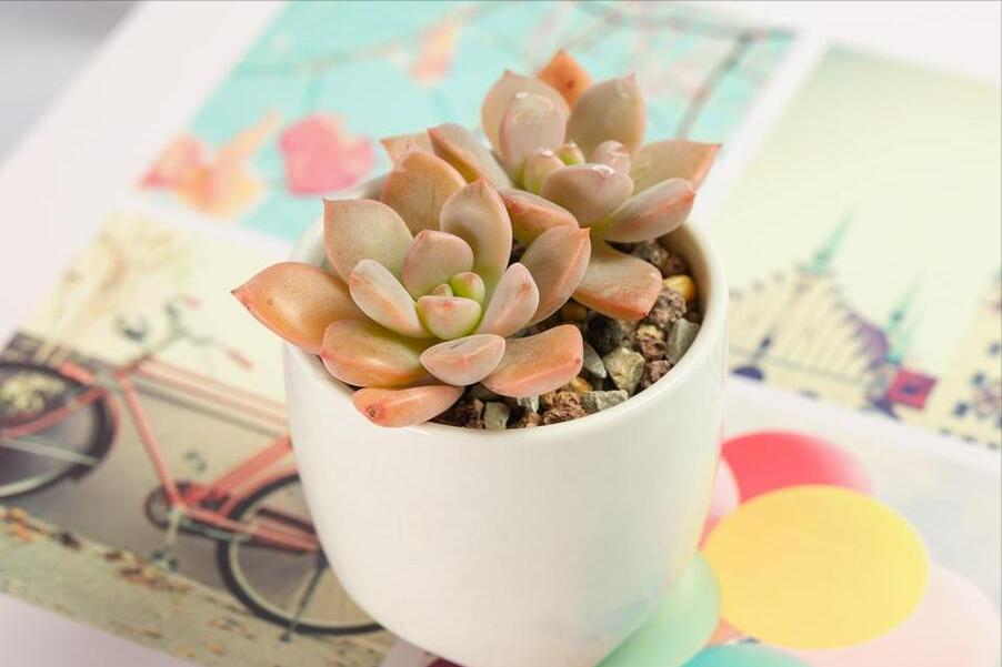 一份详细的公众号运营实战攻略,公众号内容运营干货分享建议收藏