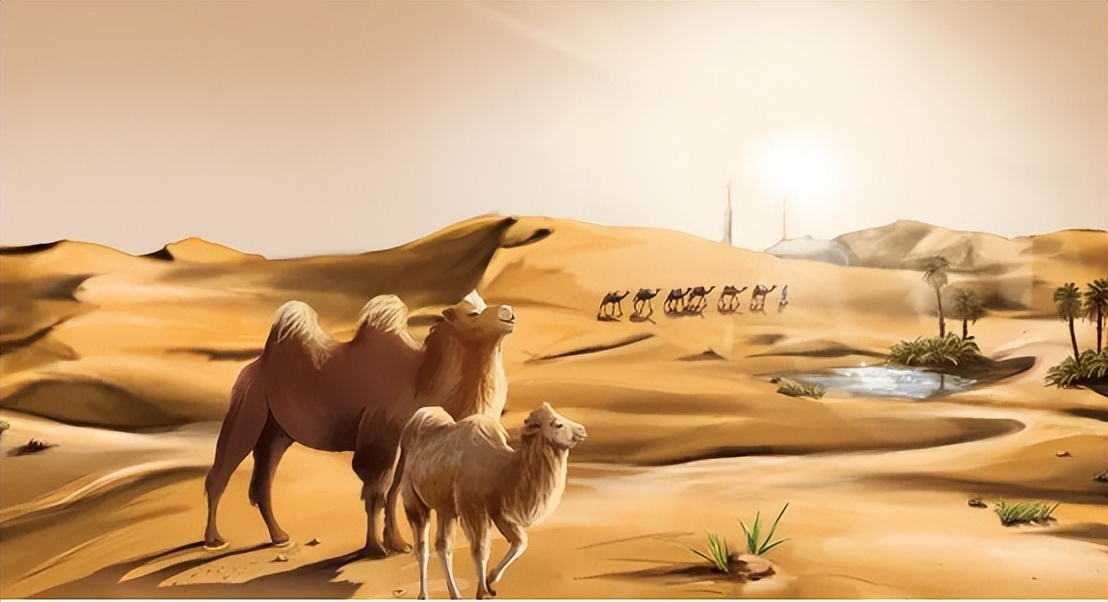 五脏喜欢的食物视频,五脏最喜欢的六种食物