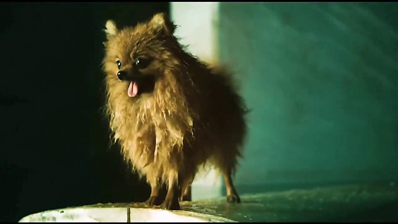 大海啸之鲨口逃生120分钟完整版,大海啸之鲨口逃生完整版