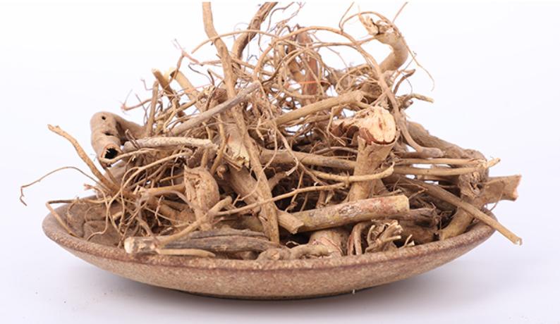 有一种树全株具乳汁，根部有奶香，是煲汤佳品，味美价值高，是啥