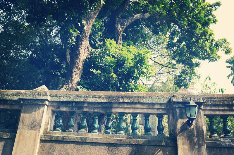 毕业后就业前景好的专业排行榜,大学就业最好的十大行业