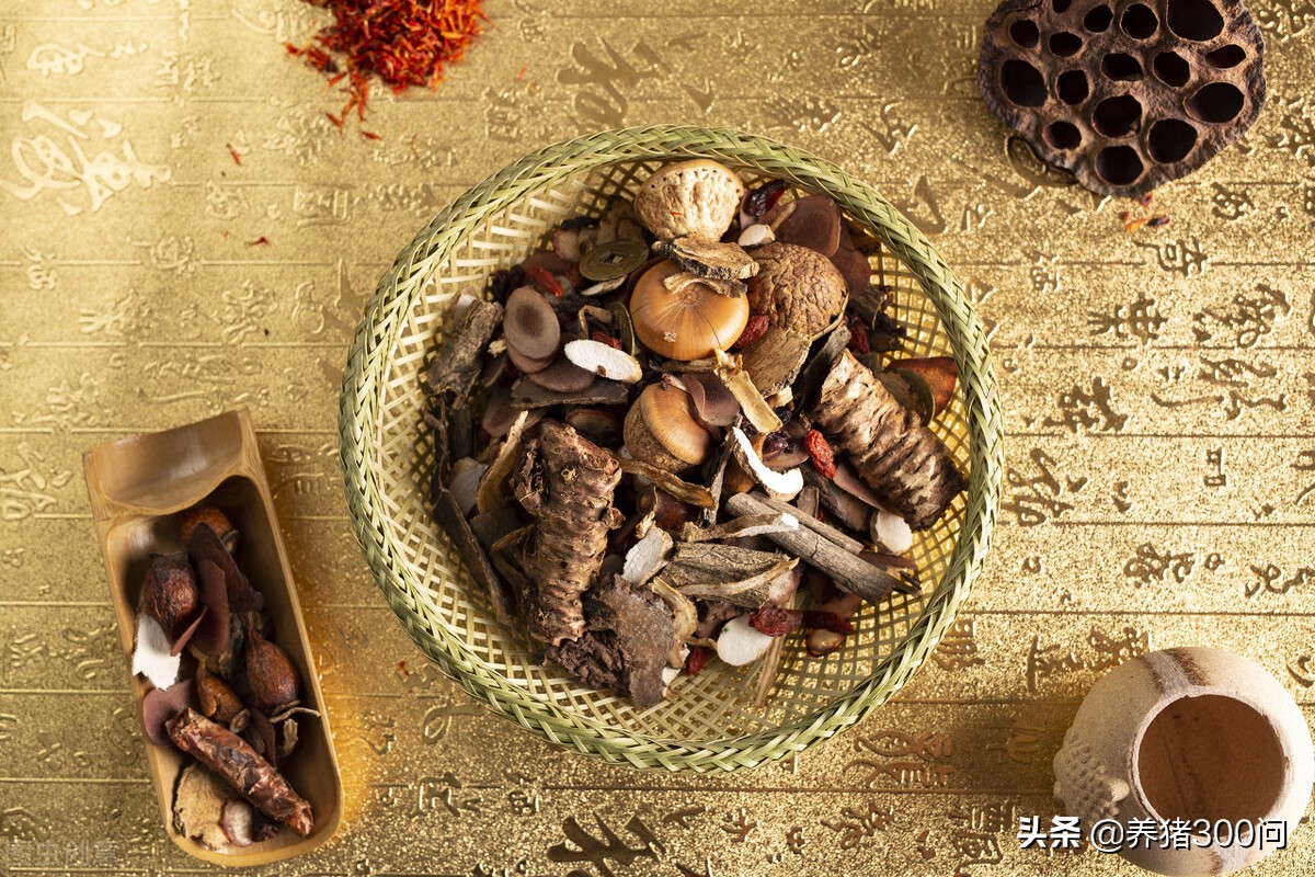 用中药治疗猪咳嗽,中药治气喘最好方法