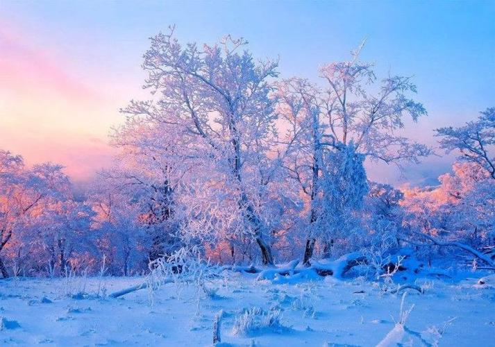 中国3大尴尬酒,北方十大尴尬酒