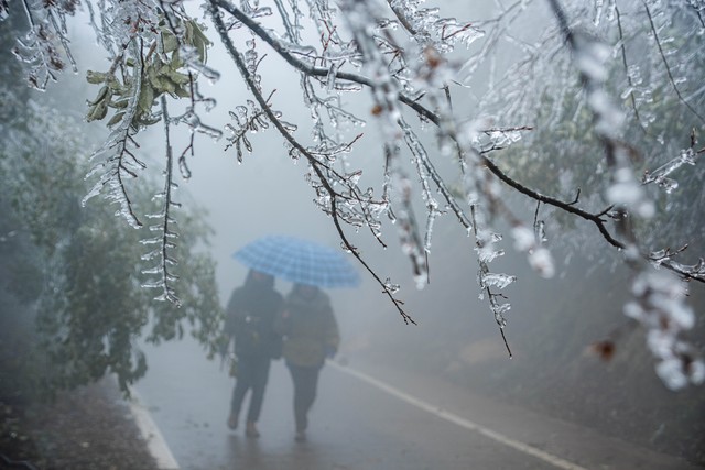 不怕小暑雨就怕小暑晴啥意思,不怕三月雨就怕二月雪