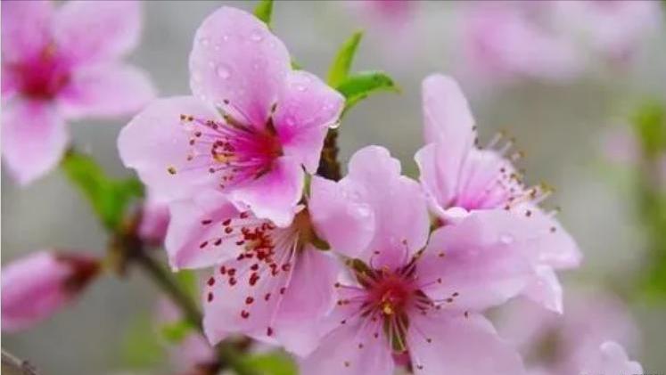 想要得到女生的芳心就得舍得花钱,想要得到一个女人的心靠什么