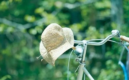 小森林四季电影,电影小森林夏秋篇