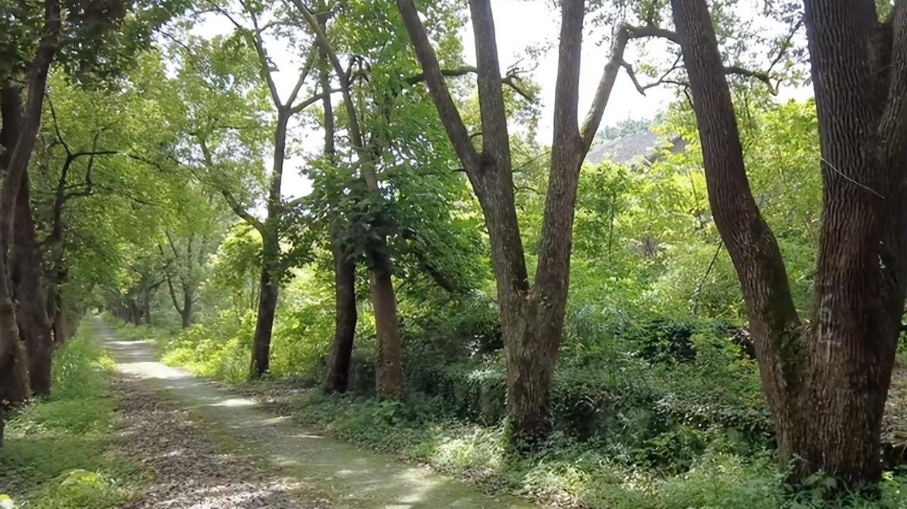 北碚这所中专校园荒废了13年还保留完好；30多年前比大学还吃香