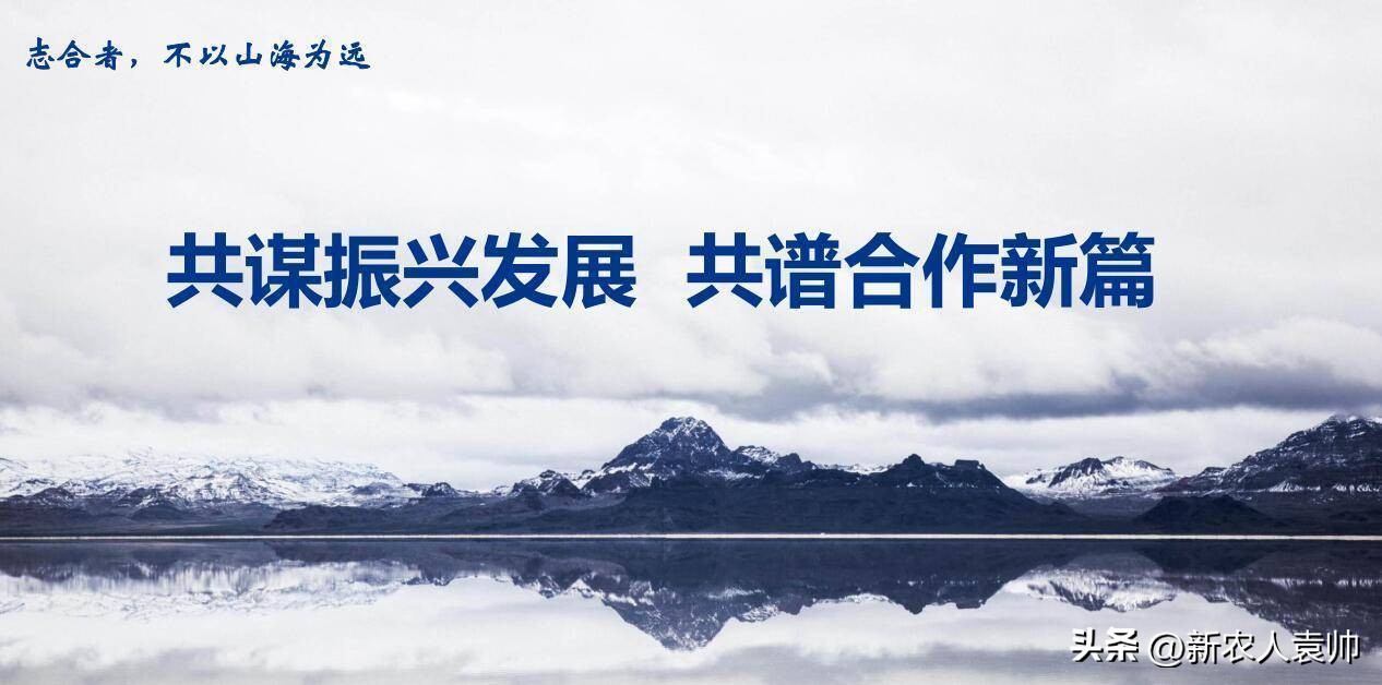 焦点|粉笔试水直播带货“B面”：教培转型直播电商过得好吗？