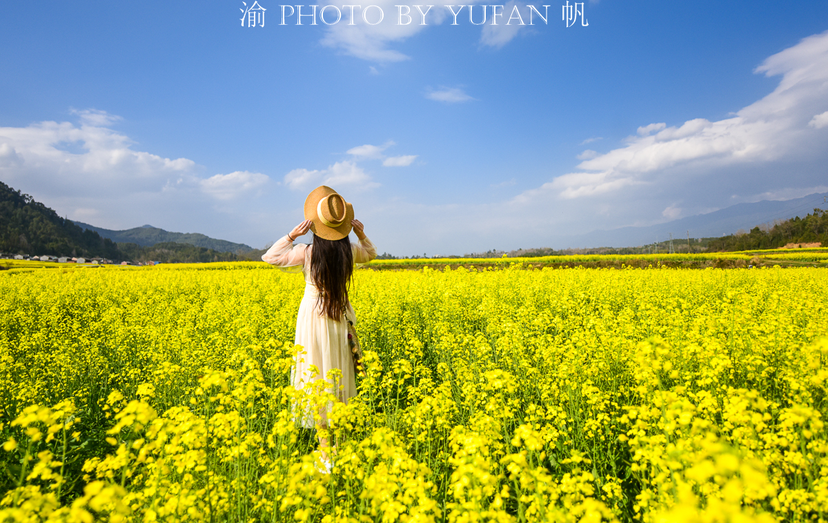 潼南油菜花旅游攻略,美好春日潼南赏花地图快来get