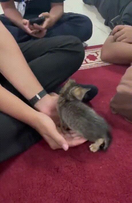 搞笑囧图：质数在生活中有什么作用？没有美女的行业是没有前途的