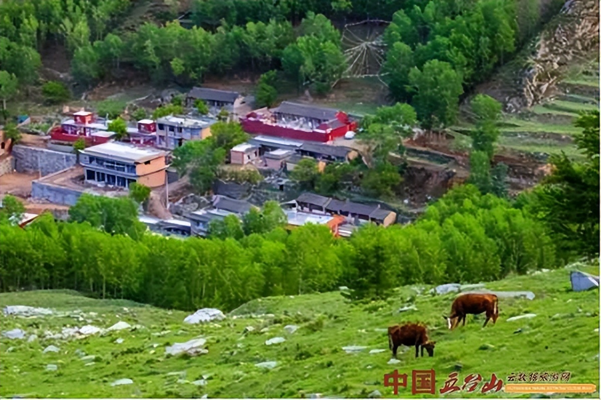 五台山静音寺又叫什么寺,五台山静音寺耗资
