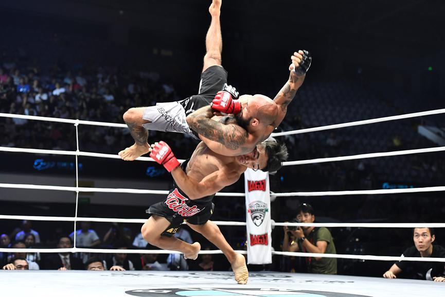 张伟丽格斗视频全集完整版,张伟丽是中国格斗第一人吗