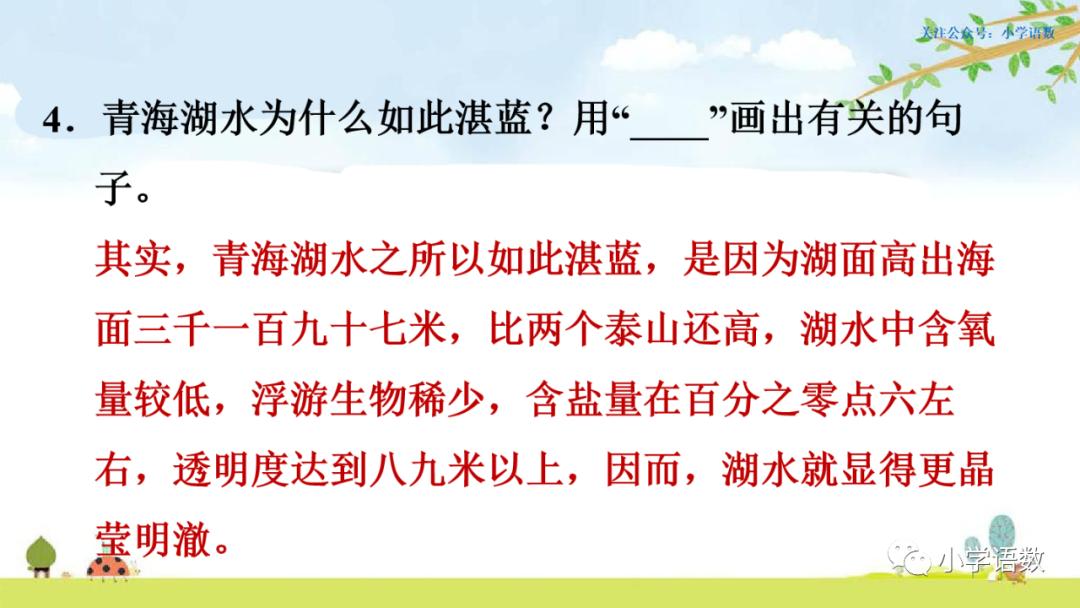 部编版六年级语文课文预习第1课,部编版六年级上册语文书草原预习