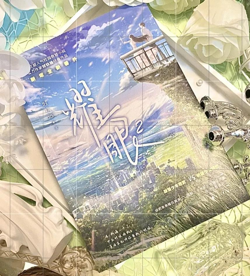 高质量小说推荐甜宠文校园长文,学生党小说推荐提升文笔