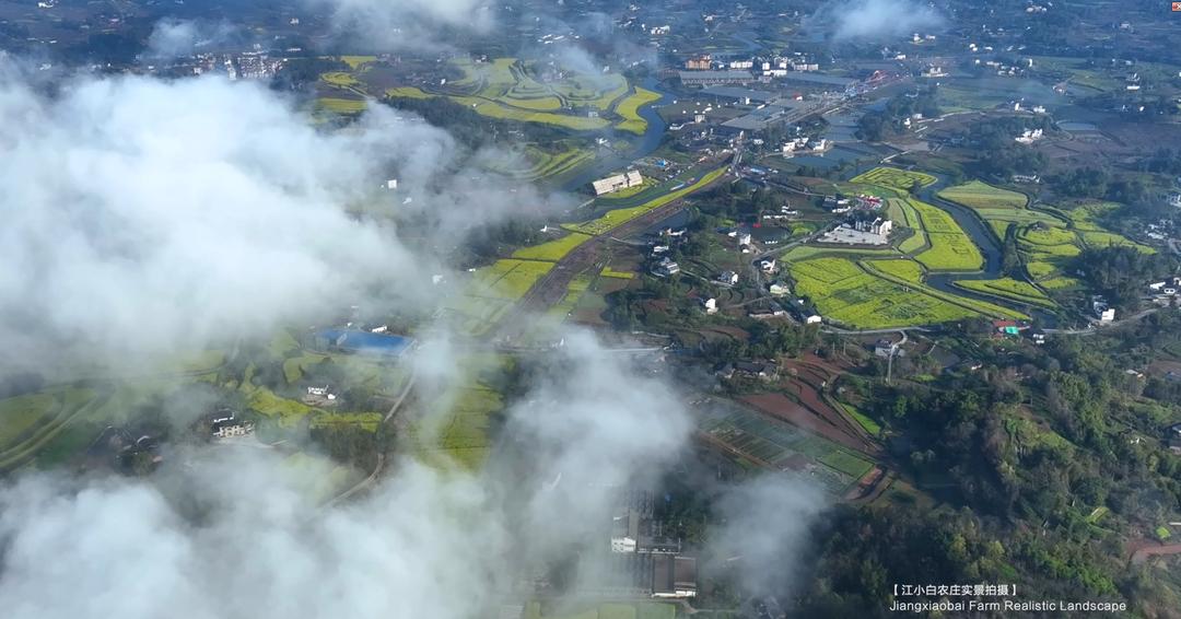 iChongqing丨春日里的乡村美出“国际范”！