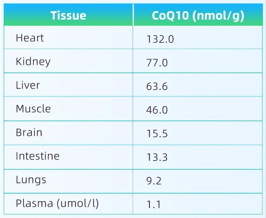 你所不知道的辅酶q10,最新一代辅酶q10是什么