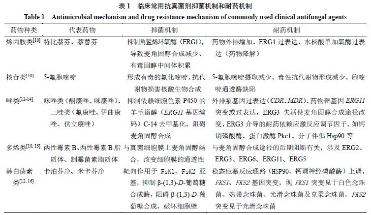 中成药抗真菌,中药抗真菌治疗效果好吗