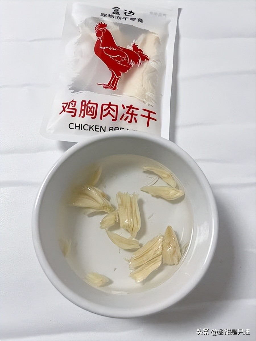 猫咪不喝水？教你10招骗水小技巧