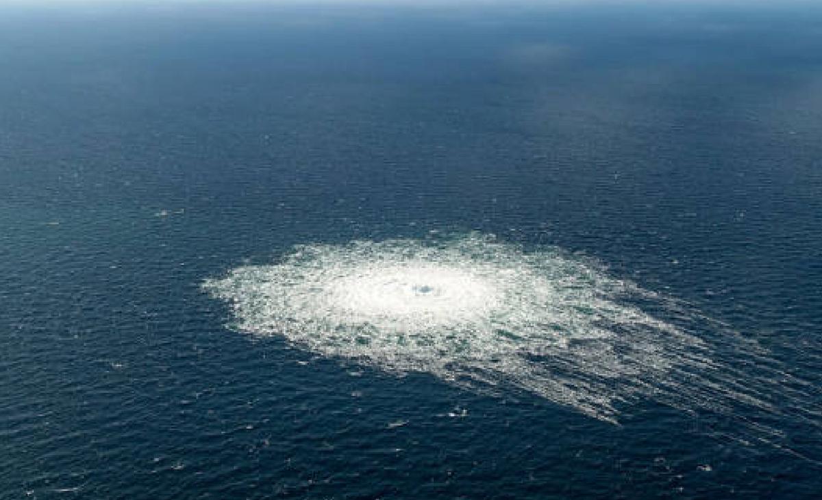 此地无银三百两的结局,此地无银三百两真相