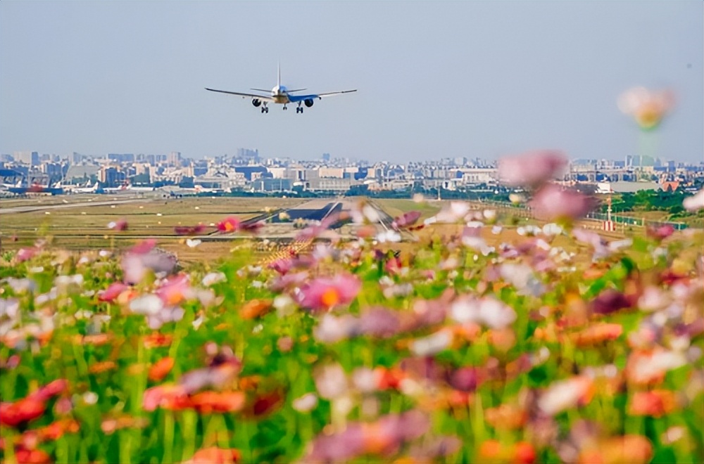 双流周边吃喝玩乐一日游攻略,双流全家玩乐的好去处