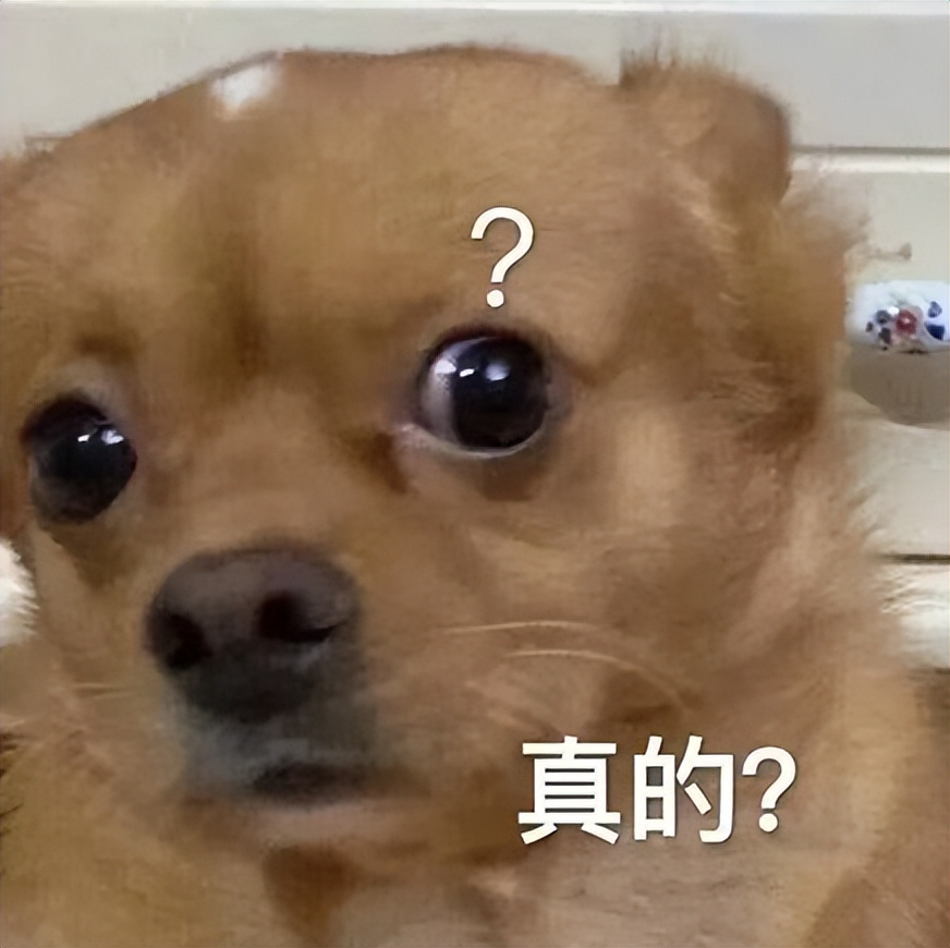 什么是运动康复mtt,什么是运动康复专业