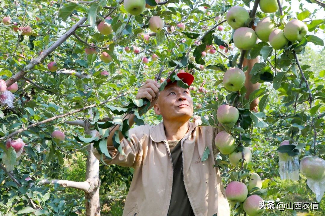 看见农信｜汇通千万里服务零距离