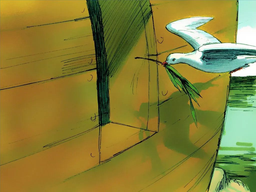 诺亚和方舟图片,诺亚一家造方舟