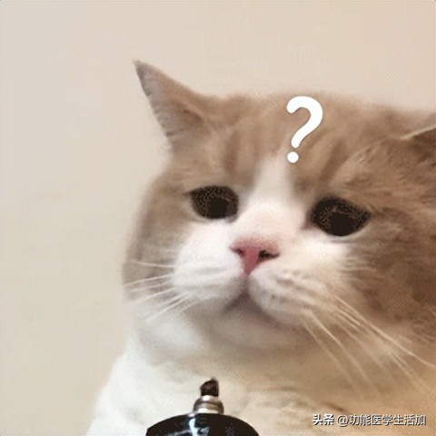 孕期贫血原因及症状及对策,孕期贫血危害与缓解方法