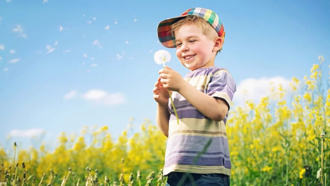 monkey是什么东西,monkeybusiness是什么