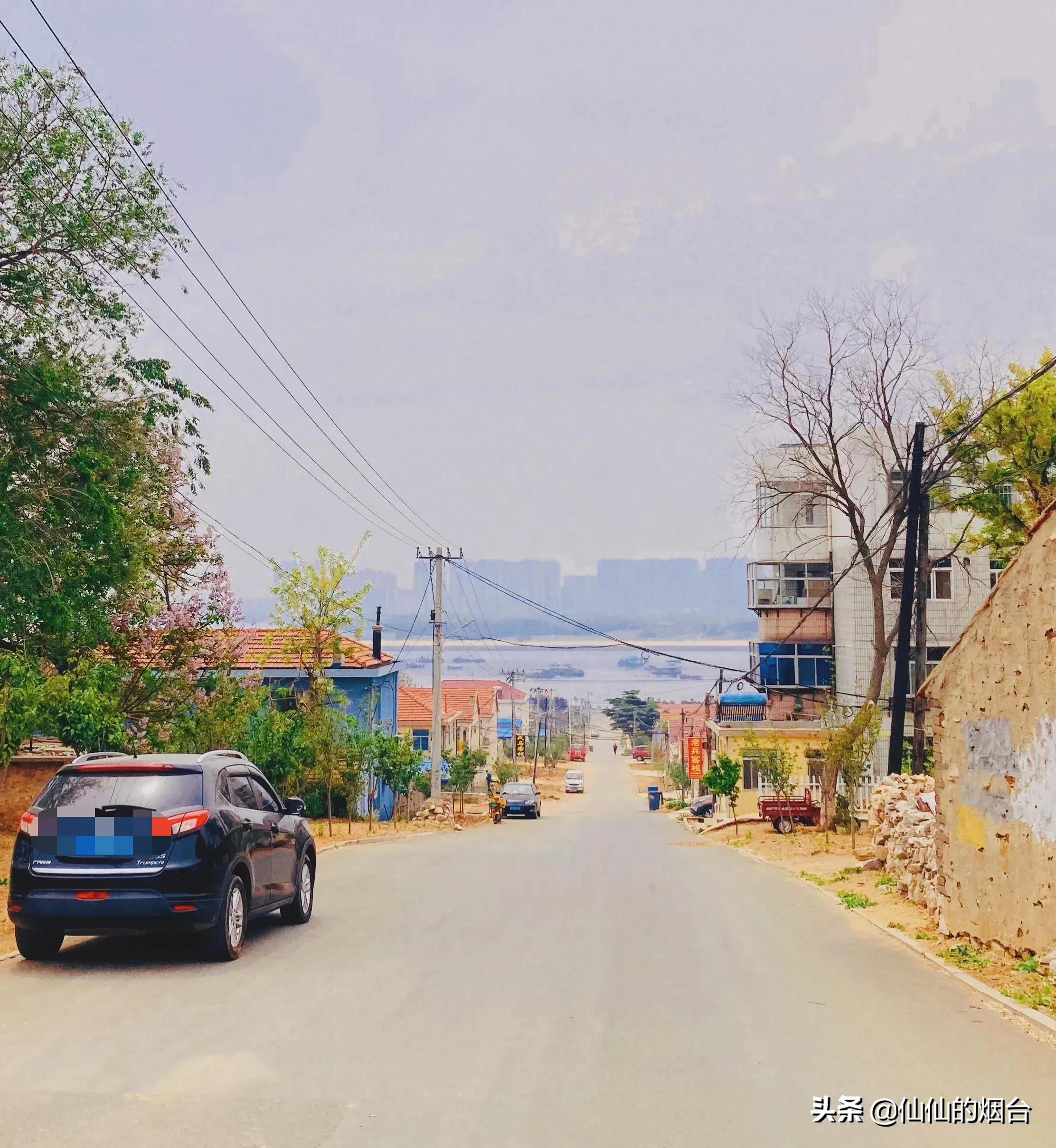 养马岛值得特意跑一趟吗,养马岛最值得看的几个地方