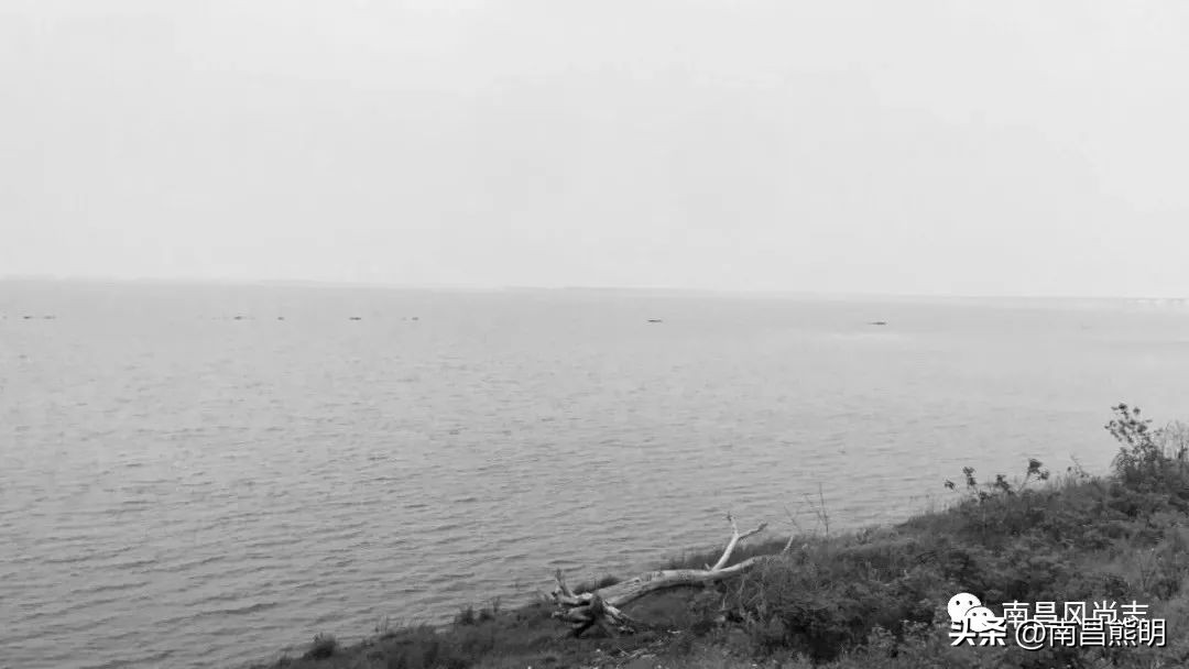 南昌狗颈里传奇：刀光剑影求生藏龙卧虎展神功